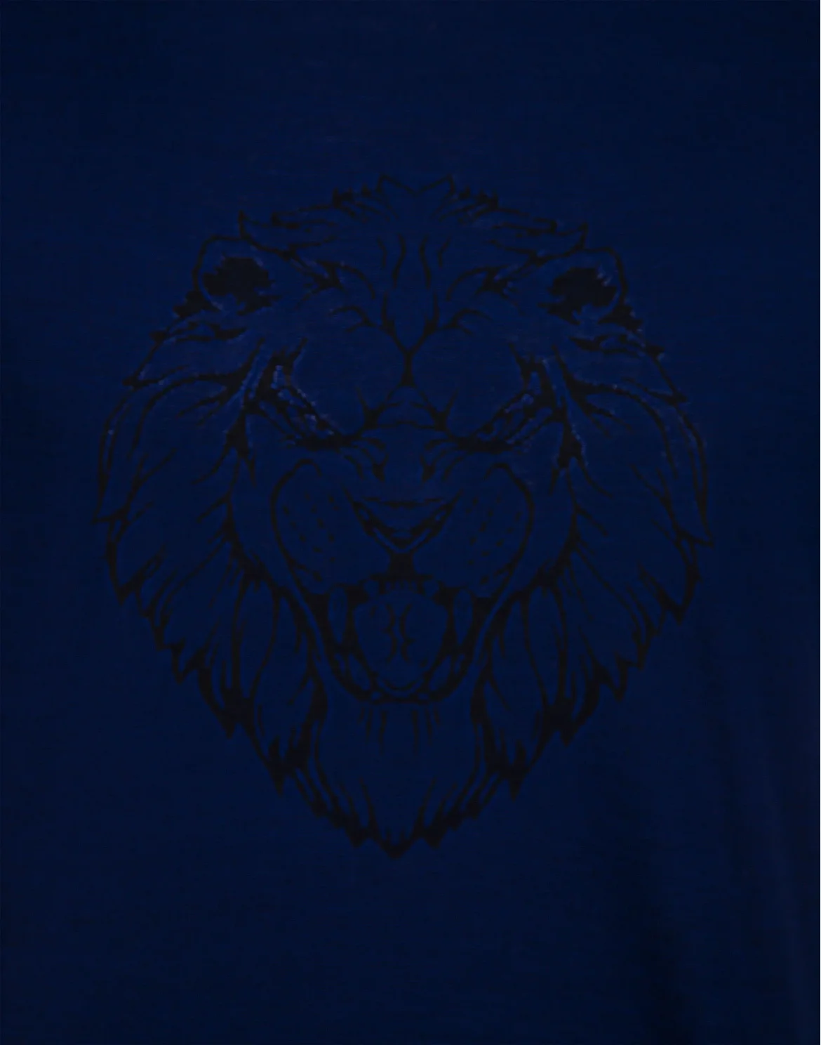 T-shirt Round Neck SS Lion, цвет: Синий
