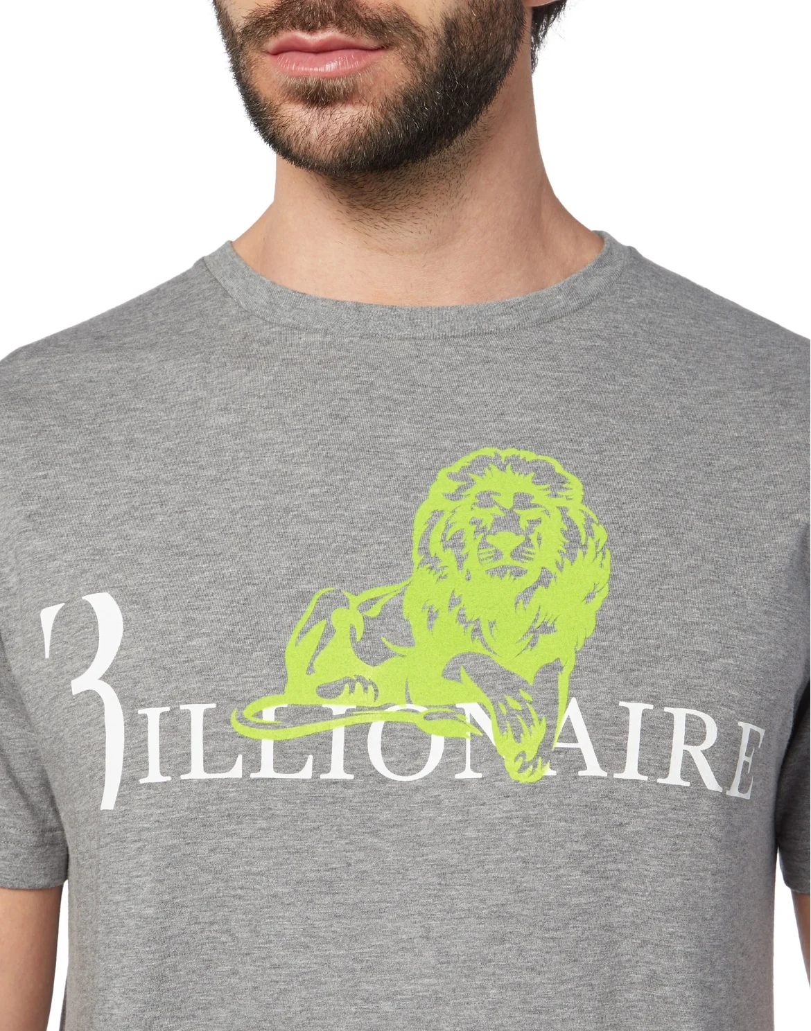 T-shirt Round Neck SS Lion, цвет: Серый