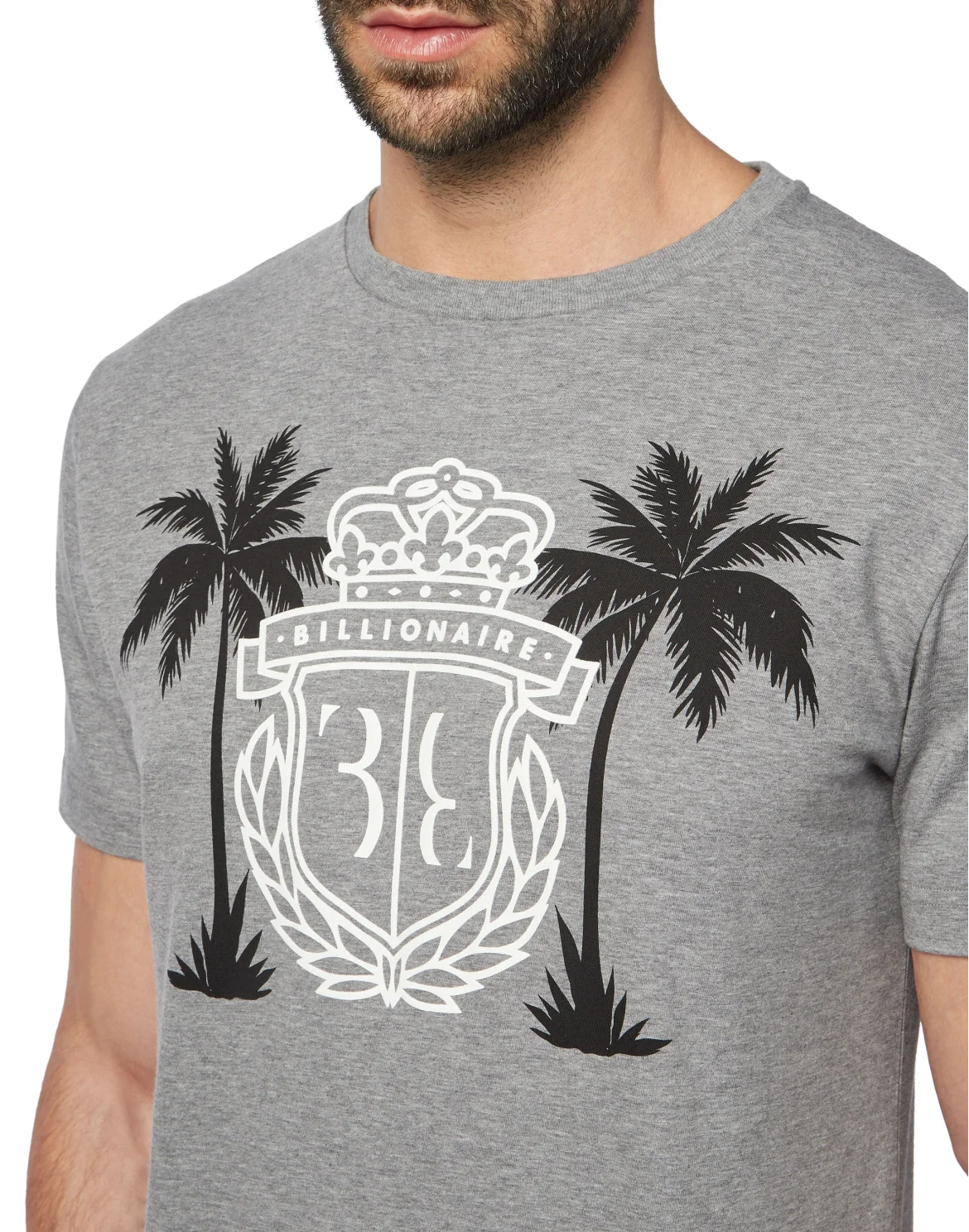 T-shirt Round Neck SS Palms, цвет: Серый