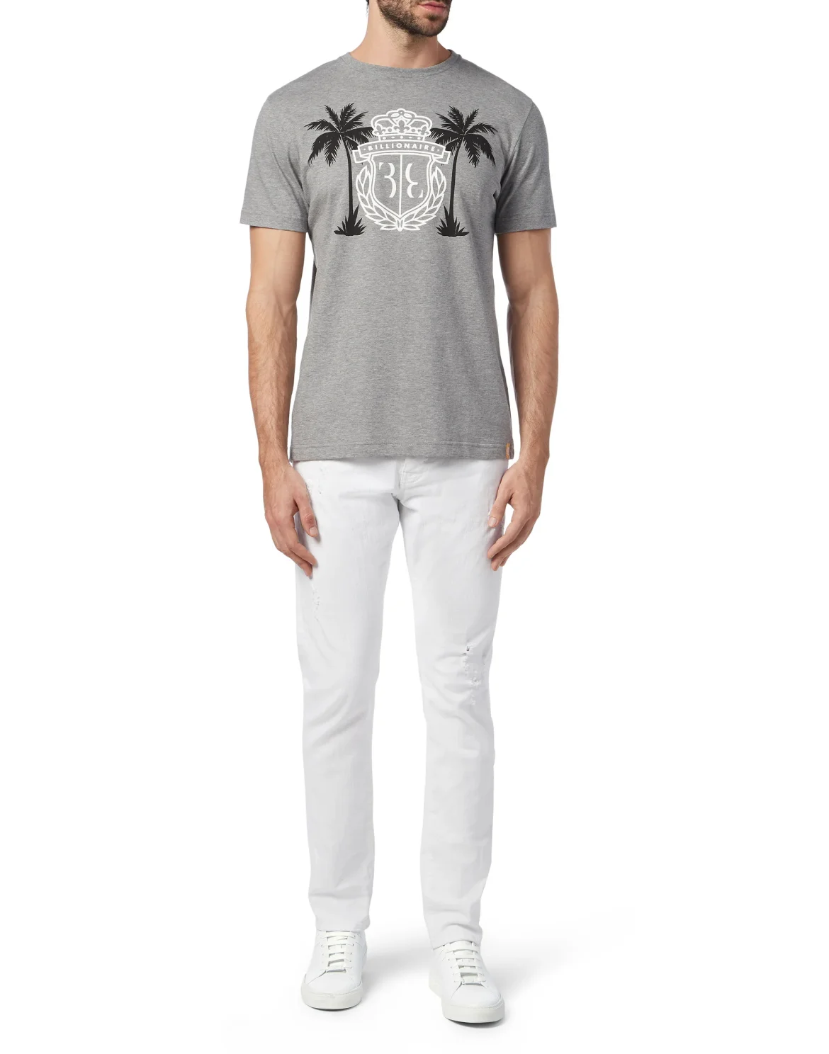 T-shirt Round Neck SS Palms, цвет: Серый