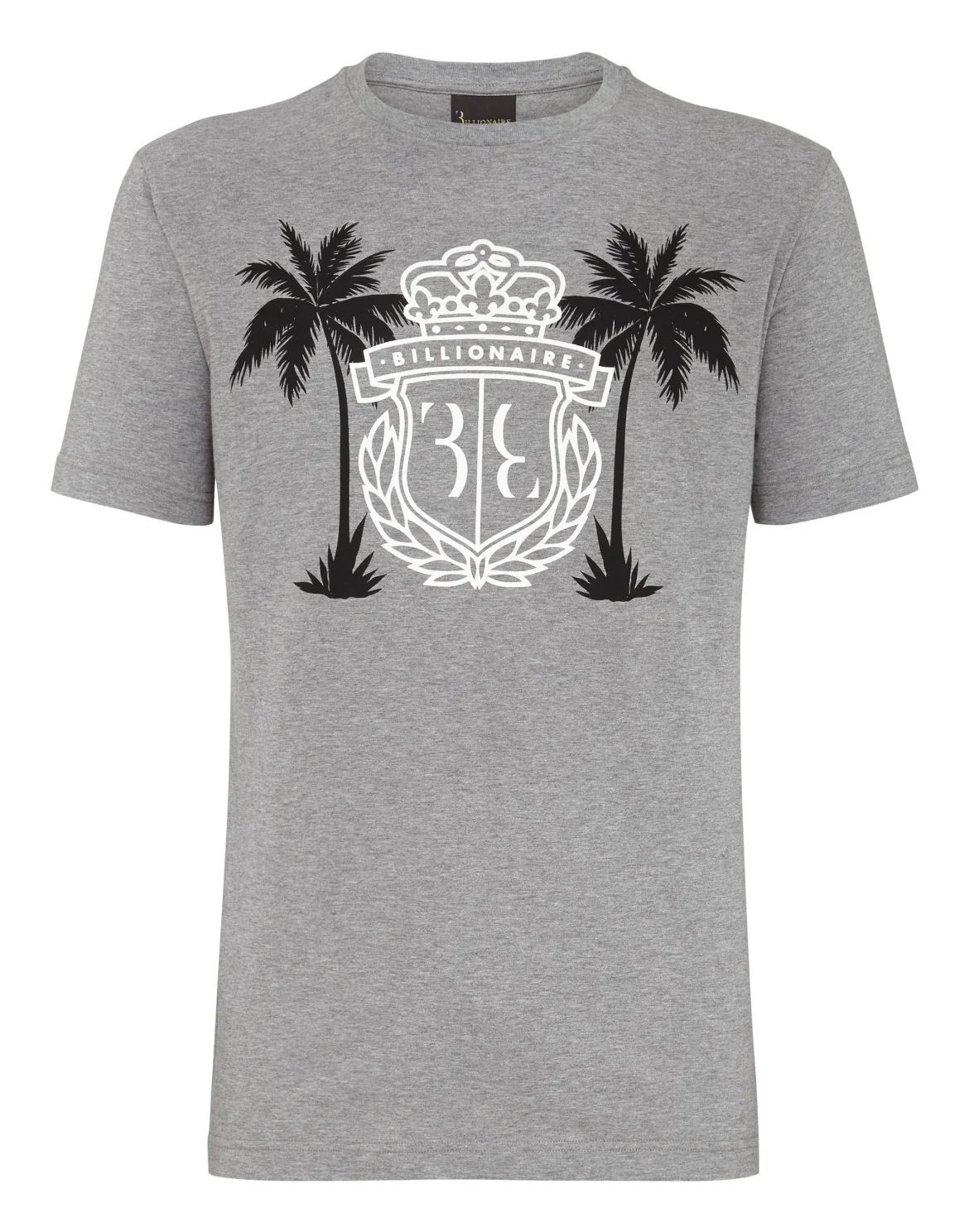 T-shirt Round Neck SS Palms, цвет: Серый