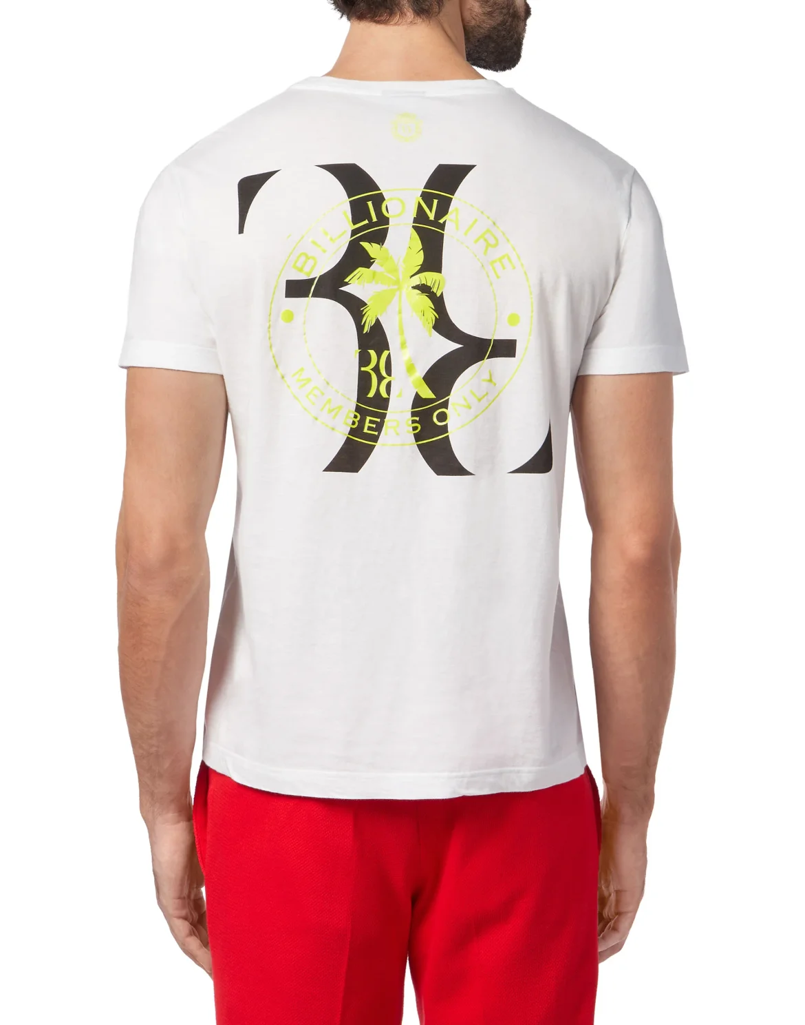 T-shirt Round Neck SS Palms, цвет: Белый
