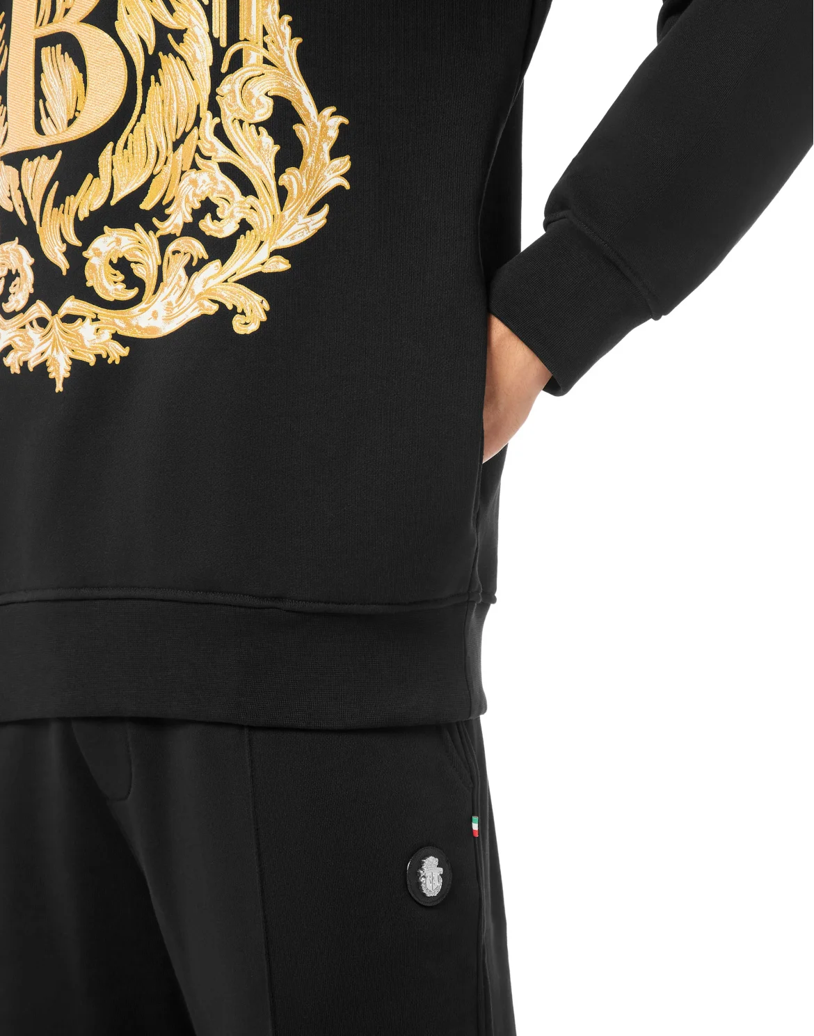 Hoodie sweatshirt Lion B Frame, цвет: Черный