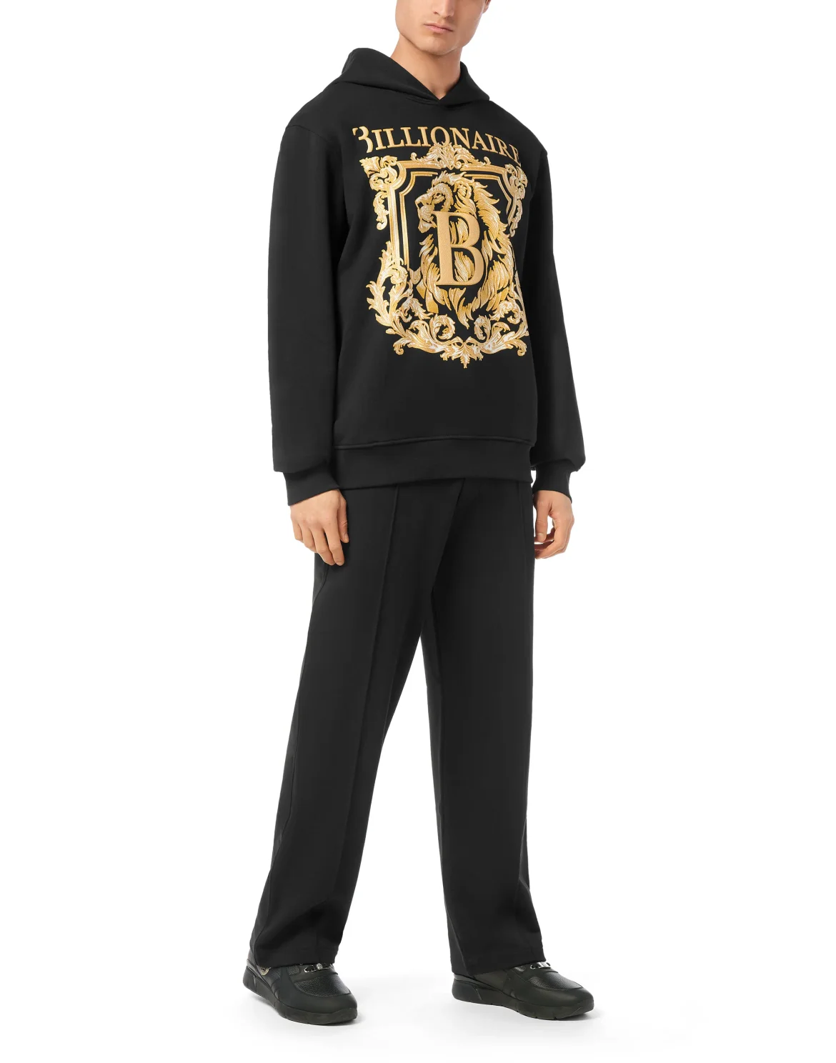 Hoodie sweatshirt Lion B Frame, цвет: Черный