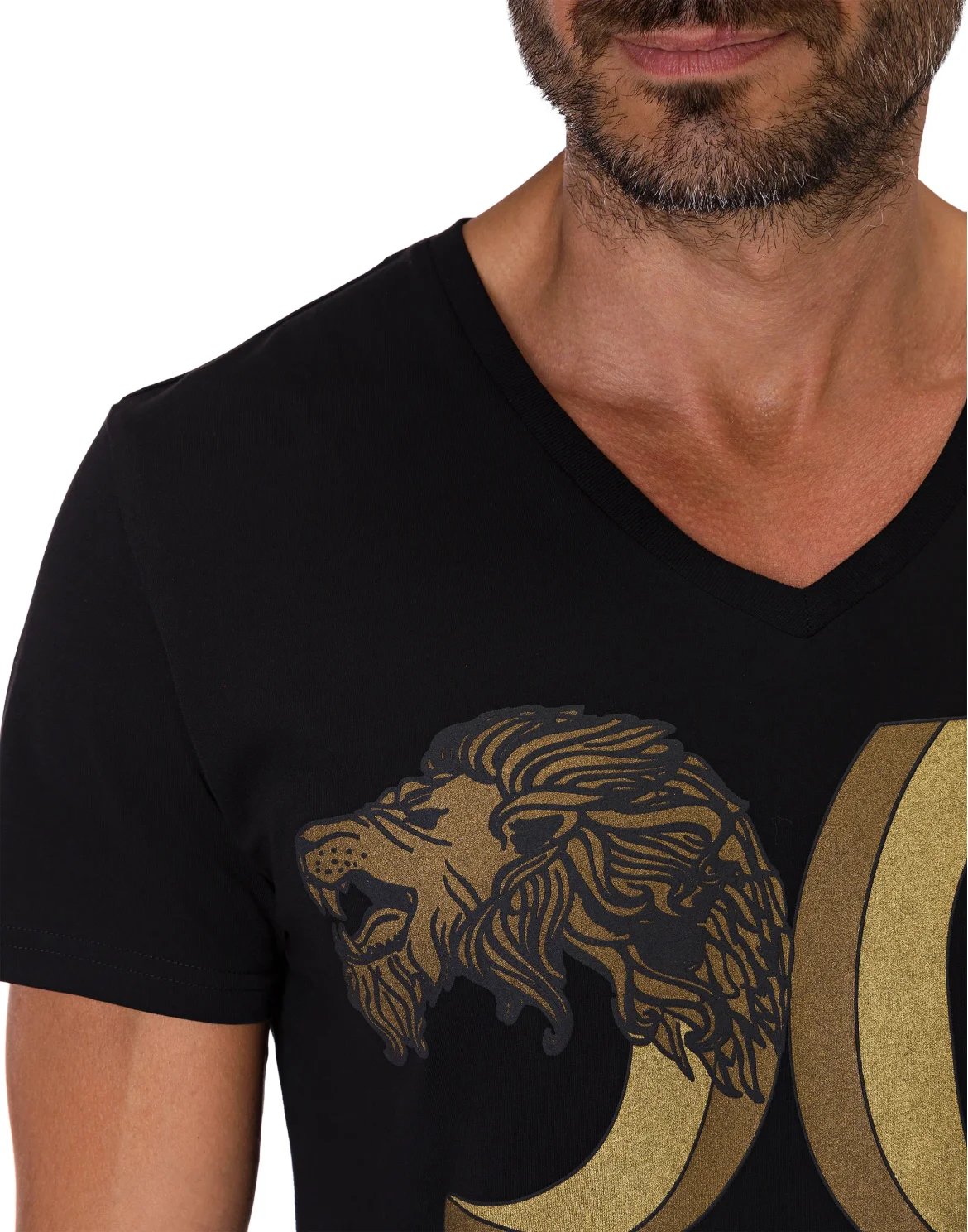 T-shirt V-Neck SS Double Lion, цвет: Черный