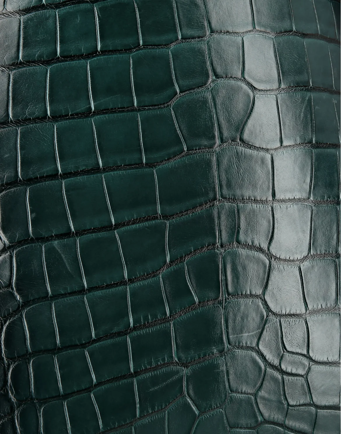 Backpack Luxury, цвет: Синий