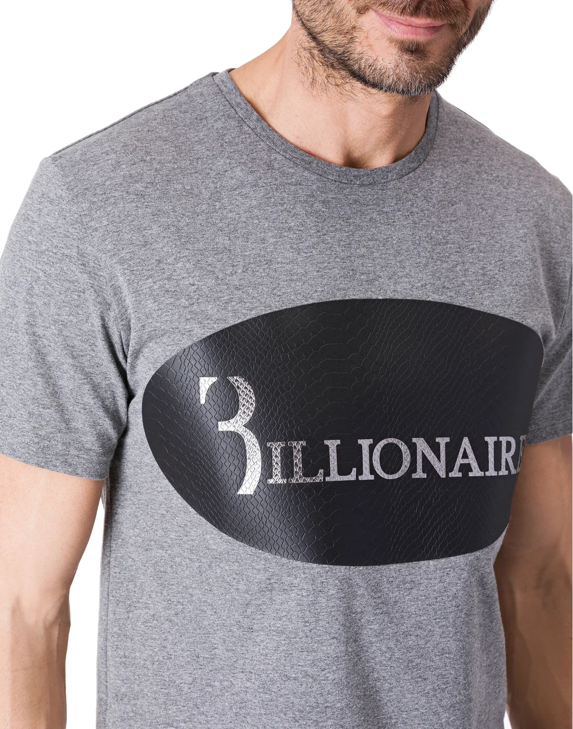 T-shirt Round Neck SS "Python", цвет: Серый