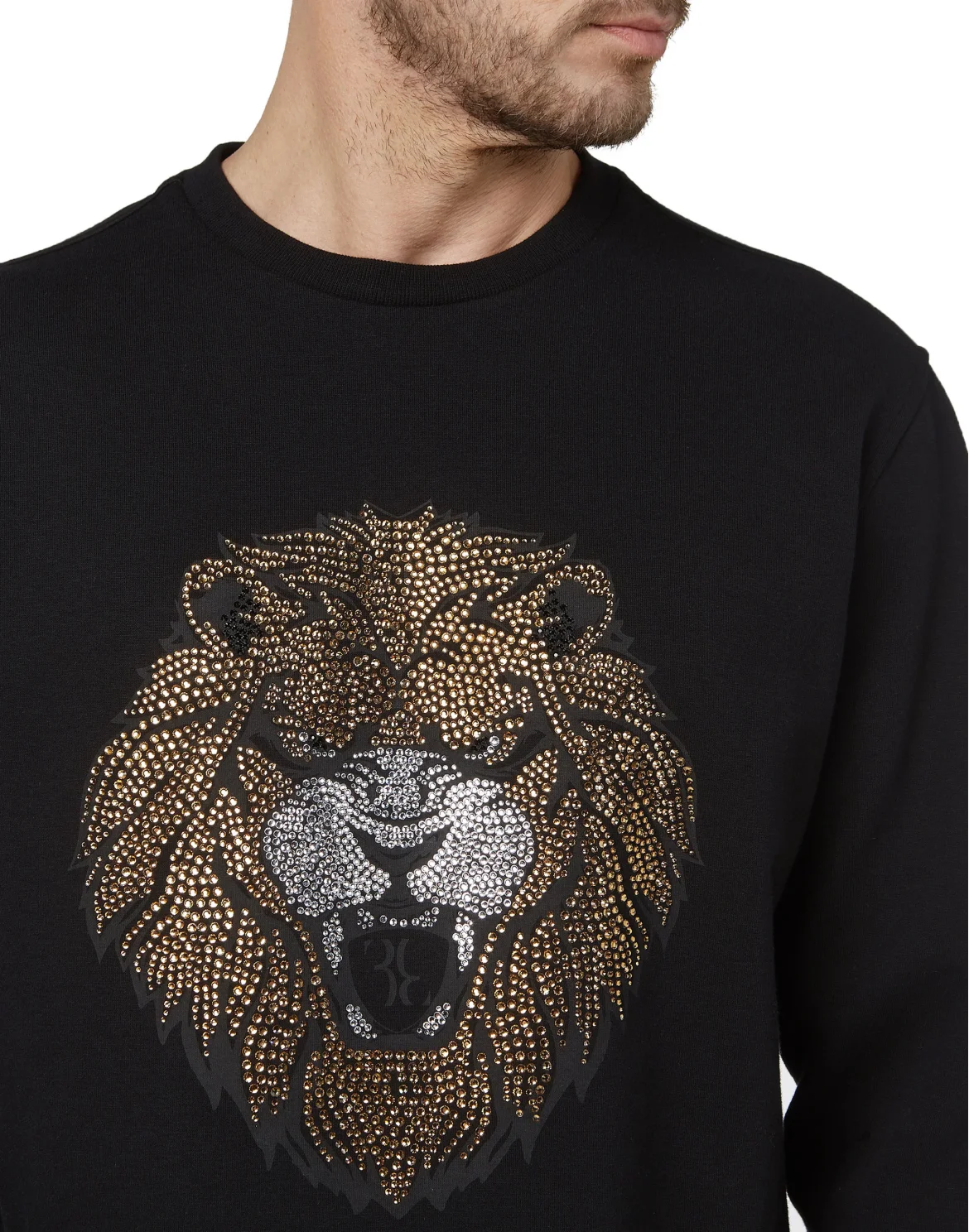 Sweatshirt LS Lion, цвет: Черный