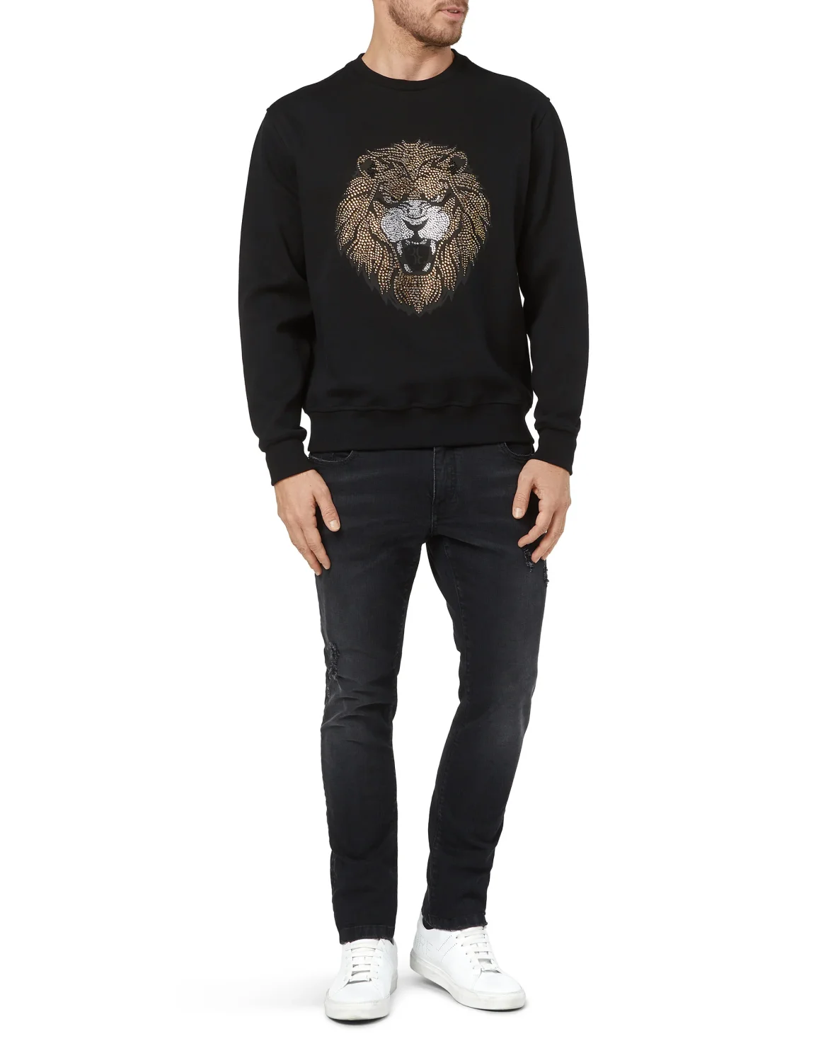 Sweatshirt LS Lion, цвет: Черный