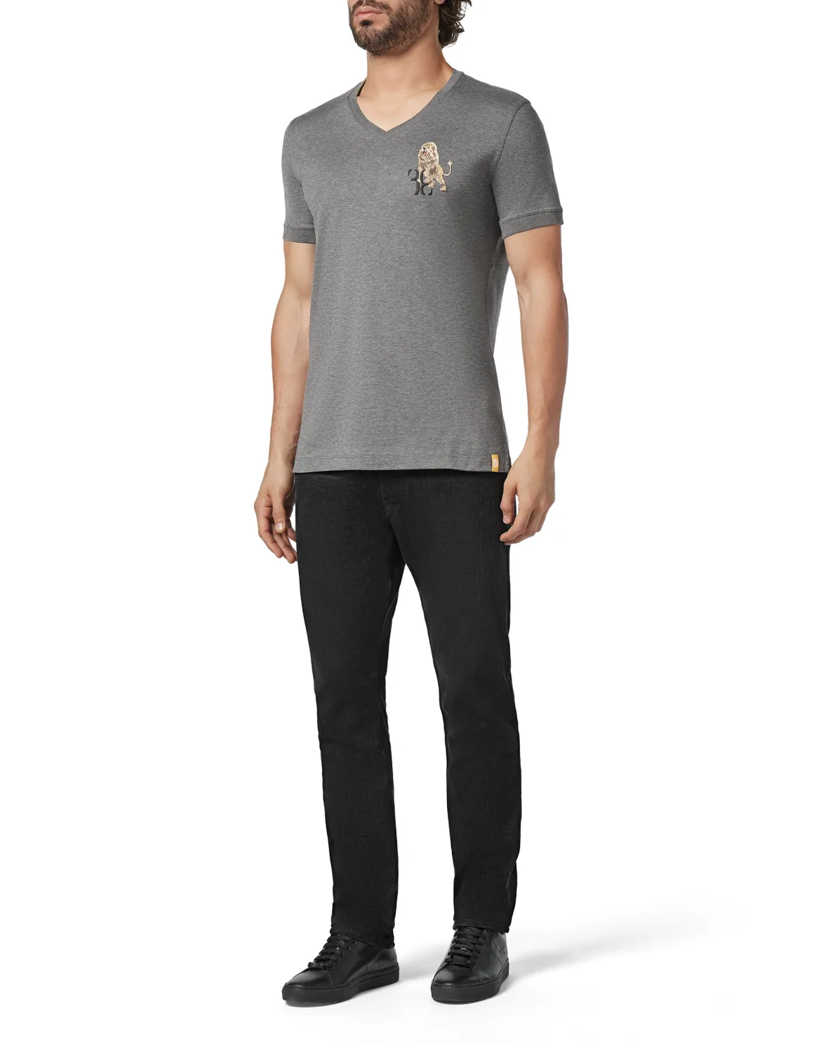 T-shirt V-Neck SS Lion, цвет: Серый